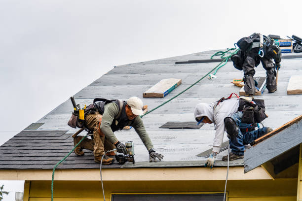 Professional Gutter Installation technician working in Pharr, TX